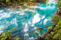 A Man Looking At The Blue River
 - Costa Rica