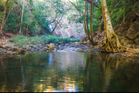 Montezuma River Pond Near The Montezuma Lower Fall
 - Costa Rica