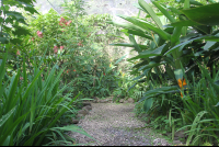        montezuma butterfly garden trail 
  - Costa Rica