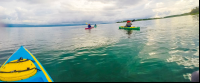 Starting Off The Puerto Jimenez Beach Kayaking Platanares Mangroves In Puerto Jimenez
 - Costa Rica