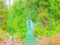 Suspension Bridge Corcovado Canopy Tour
 - Costa Rica