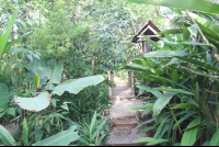        garden bridge montezuma butterfly garden 
  - Costa Rica