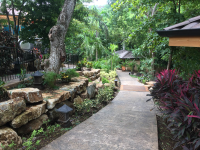 pathways at village 
 - Costa Rica