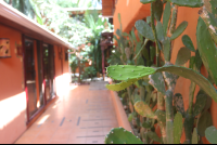 Cactus Rancho De La Playa Hallway
 - Costa Rica