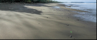        hermosa beach attraction dominical coast 
  - Costa Rica