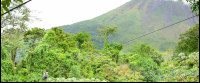 Tree Platform A Person Zooming And Arenal Volcano As Background Los Canones Canopy Tour La Fortuna
 - Costa Rica