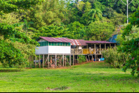 Chocuaco Waterfalls Stable
 - Costa Rica