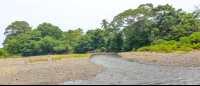 Ario River Flow
 - Costa Rica