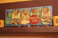 Havana Club Deco At The Place Hotel
 - Costa Rica