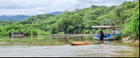        tarcoles river overview 
  - Costa Rica