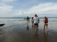 ballena aventura tour walking 
 - Costa Rica