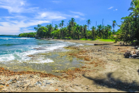 playa negra coral 
 - Costa Rica