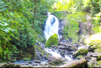 San Pedrillo Waterfall San Pedrillo Station Corcovado
 - Costa Rica