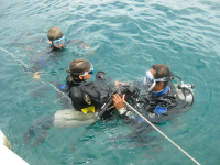        diving coco beach 
  - Costa Rica