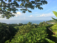 panoramic punta islita 
 - Costa Rica