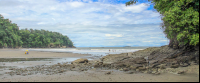        ventanas beach attraction corner 
  - Costa Rica