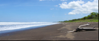 playa nosara stretch
 - Costa Rica