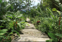        pura vida gardens stairs 
  - Costa Rica