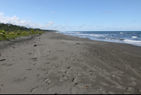 playa grande green 
 - Costa Rica