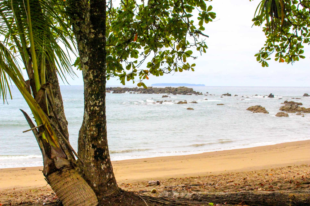        beachview san pedrillo ranger station
  - Costa Rica