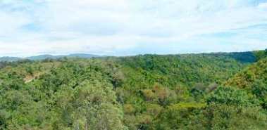 Development Land going to the Beach - Costa Rica