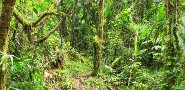 San Gerardo Station - Costa Rica