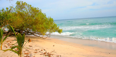 Playa Rosada - Costa Rica