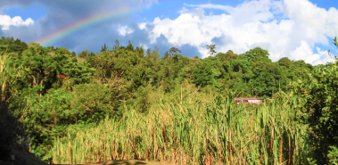 Trapiche Tour - Costa Rica