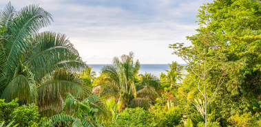 Finca Exotica Eco Lodge - Costa Rica