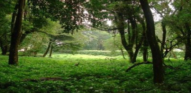 Residential Land in San Rafael de Heredia - Costa Rica