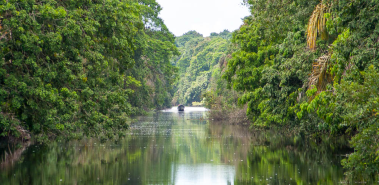 Barra del Colorado Wildlife Refuge - Costa Rica