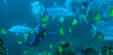 North Pacific Dive Sites - Costa Rica