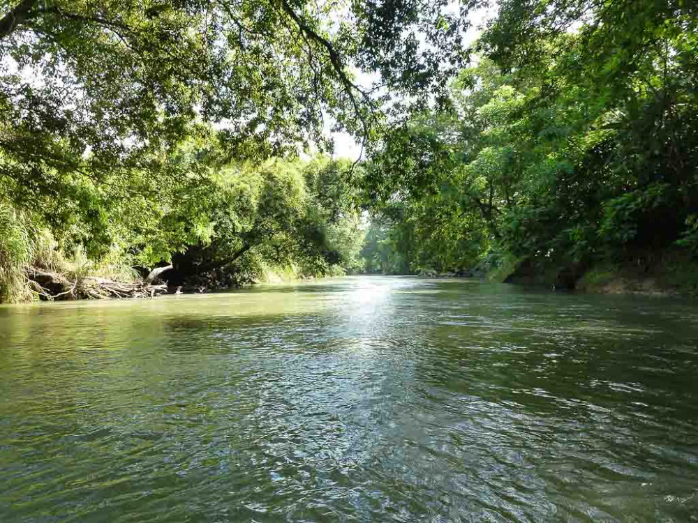 penas blancas river 
 - Costa Rica